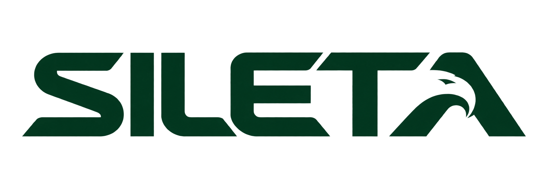 Sileta